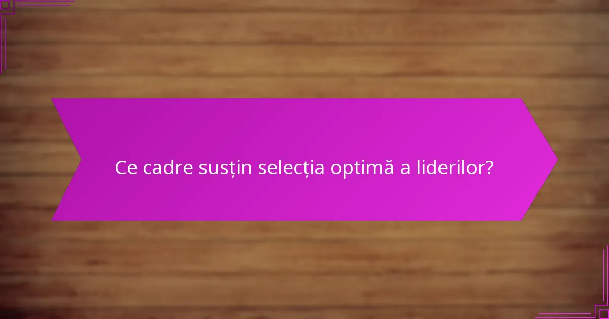 Ce cadre susțin selecția optimă a liderilor?